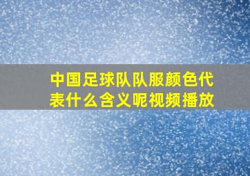 中国足球队队服颜色代表什么含义呢视频播放