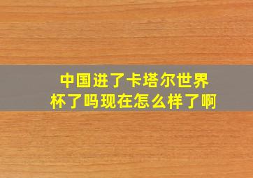 中国进了卡塔尔世界杯了吗现在怎么样了啊