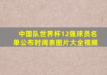 中国队世界杯12强球员名单公布时间表图片大全视频