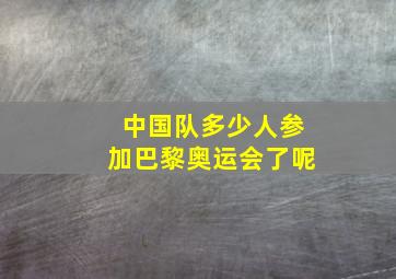 中国队多少人参加巴黎奥运会了呢