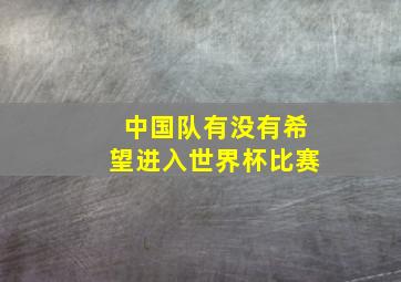 中国队有没有希望进入世界杯比赛