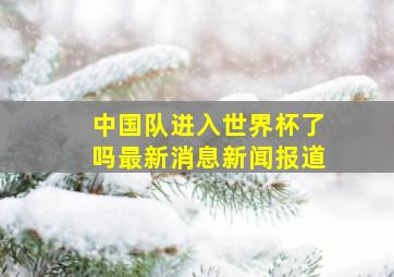 中国队进入世界杯了吗最新消息新闻报道