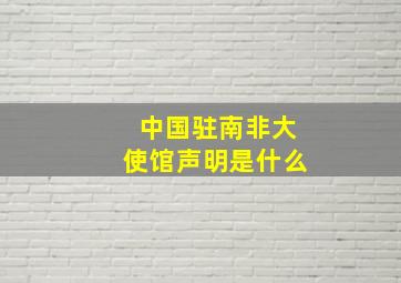 中国驻南非大使馆声明是什么