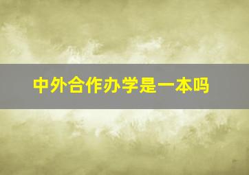 中外合作办学是一本吗