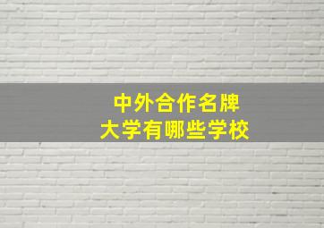 中外合作名牌大学有哪些学校