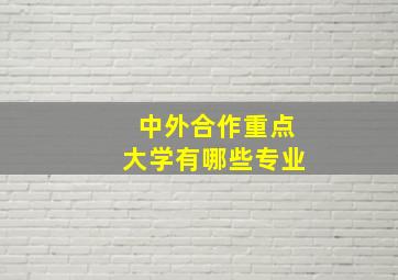 中外合作重点大学有哪些专业