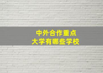 中外合作重点大学有哪些学校