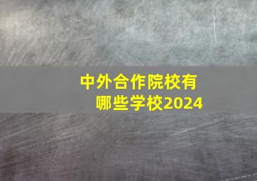 中外合作院校有哪些学校2024