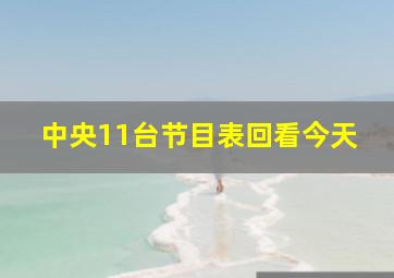 中央11台节目表回看今天