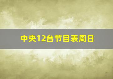 中央12台节目表周日