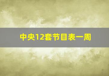 中央12套节目表一周