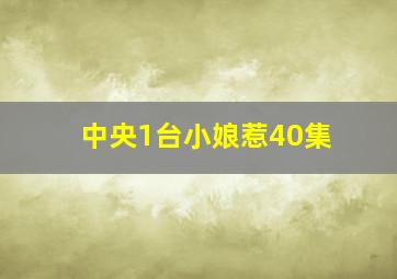 中央1台小娘惹40集