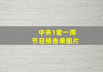 中央1套一周节目预告单图片