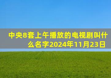 中央8套上午播放的电视剧叫什么名字2024年11月23日