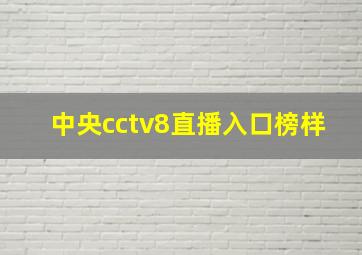 中央cctv8直播入口榜样