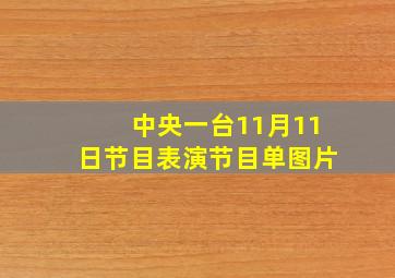 中央一台11月11日节目表演节目单图片