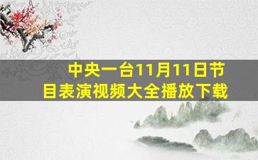 中央一台11月11日节目表演视频大全播放下载