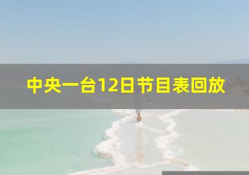 中央一台12日节目表回放