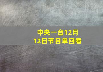 中央一台12月12日节目单回看