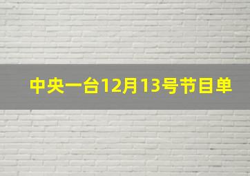 中央一台12月13号节目单