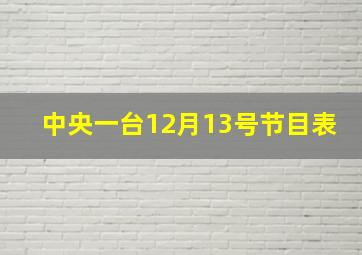 中央一台12月13号节目表