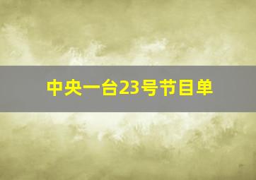 中央一台23号节目单