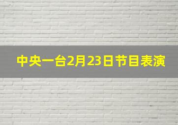 中央一台2月23日节目表演