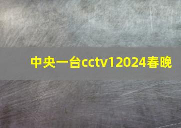 中央一台cctv12024春晚