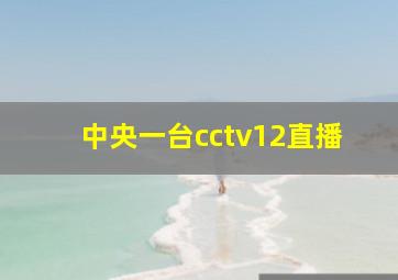 中央一台cctv12直播