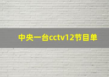 中央一台cctv12节目单