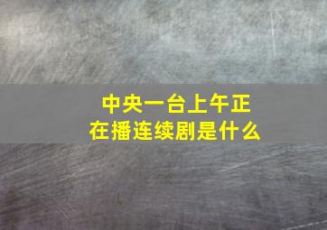 中央一台上午正在播连续剧是什么