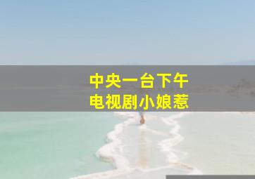 中央一台下午电视剧小娘惹