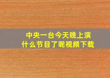 中央一台今天晚上演什么节目了呢视频下载