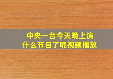 中央一台今天晚上演什么节目了呢视频播放