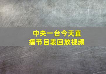 中央一台今天直播节目表回放视频