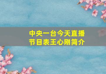 中央一台今天直播节目表王心刚简介