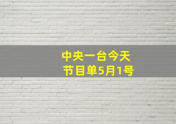 中央一台今天节目单5月1号