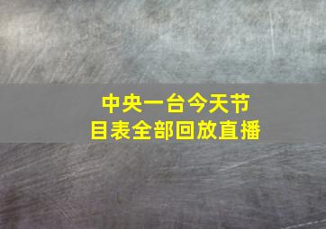 中央一台今天节目表全部回放直播