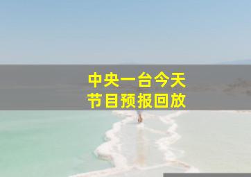 中央一台今天节目预报回放