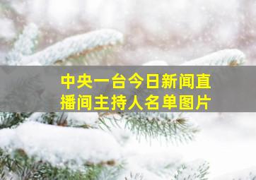 中央一台今日新闻直播间主持人名单图片