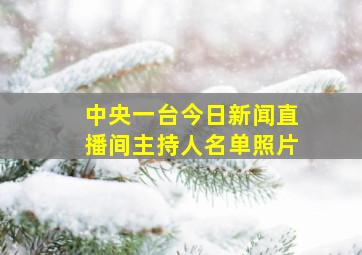 中央一台今日新闻直播间主持人名单照片