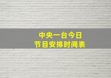 中央一台今日节目安排时间表