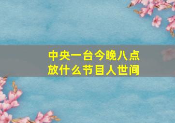 中央一台今晚八点放什么节目人世间