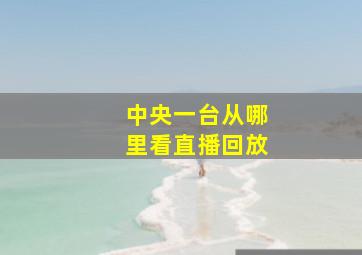 中央一台从哪里看直播回放