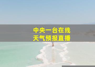 中央一台在线天气预报直播