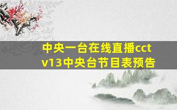 中央一台在线直播cctv13中央台节目表预告