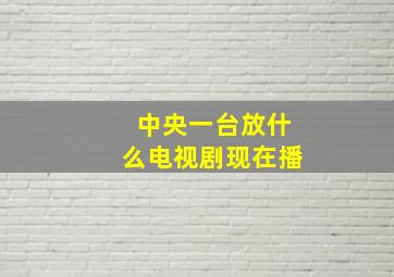 中央一台放什么电视剧现在播