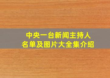 中央一台新闻主持人名单及图片大全集介绍