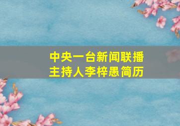 中央一台新闻联播主持人李梓愚简历