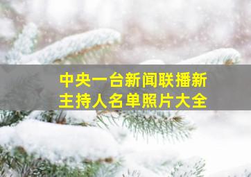 中央一台新闻联播新主持人名单照片大全